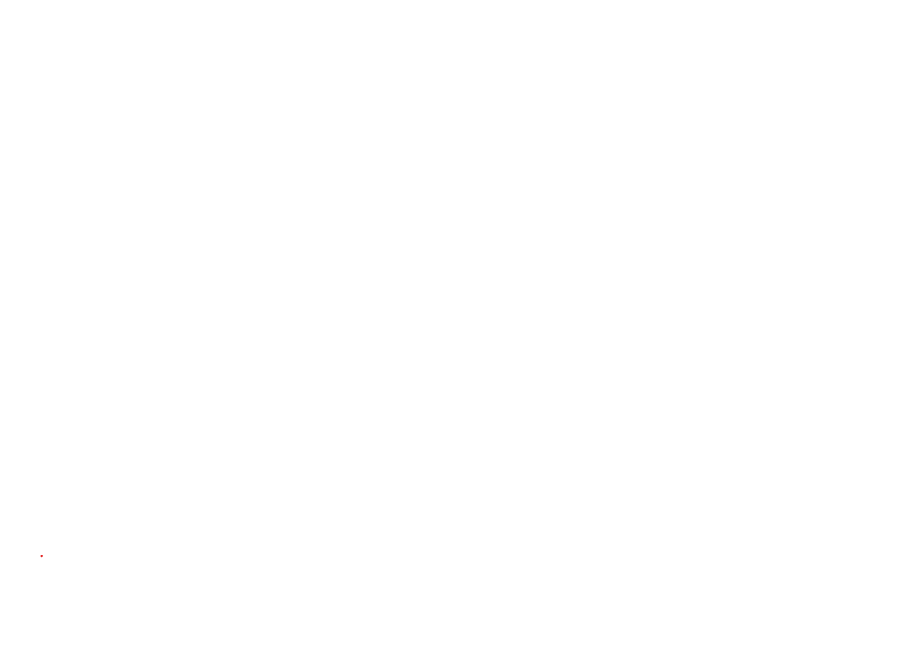 Razzaki